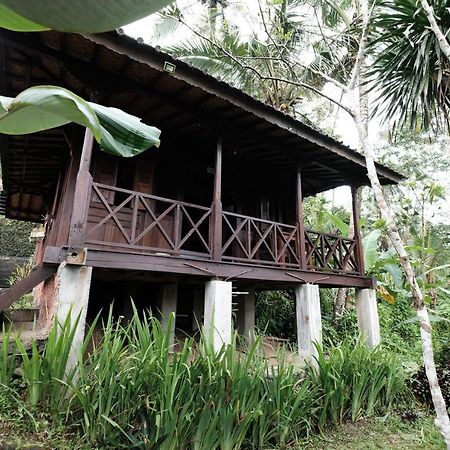 فندق Ubud Jungle Holy Water المظهر الخارجي الصورة