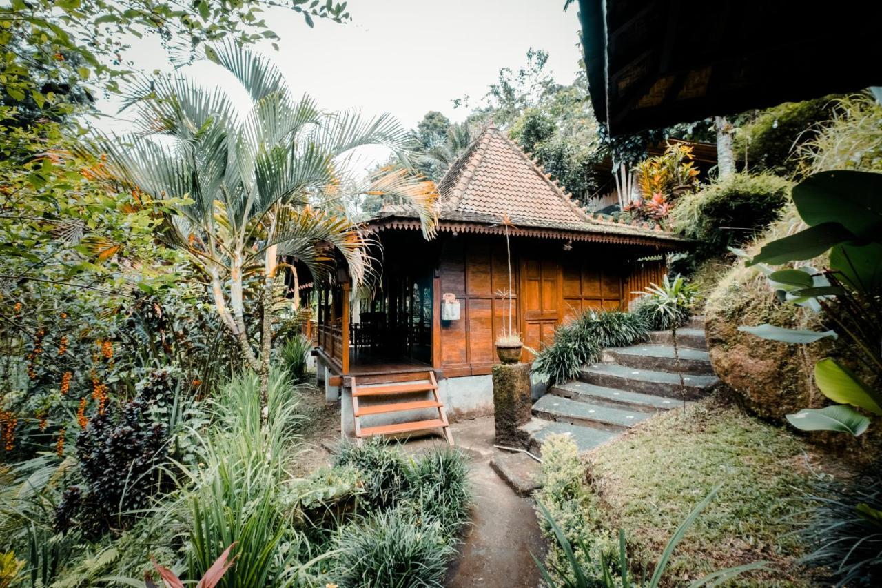 فندق Ubud Jungle Holy Water المظهر الخارجي الصورة