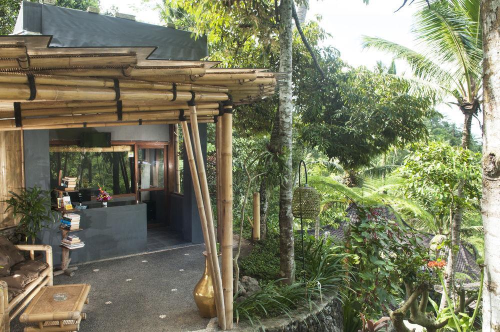 فندق Ubud Jungle Holy Water المظهر الخارجي الصورة