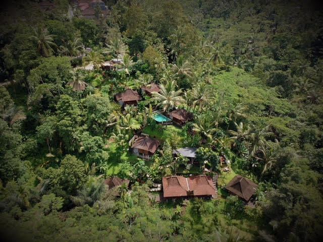 فندق Ubud Jungle Holy Water المظهر الخارجي الصورة