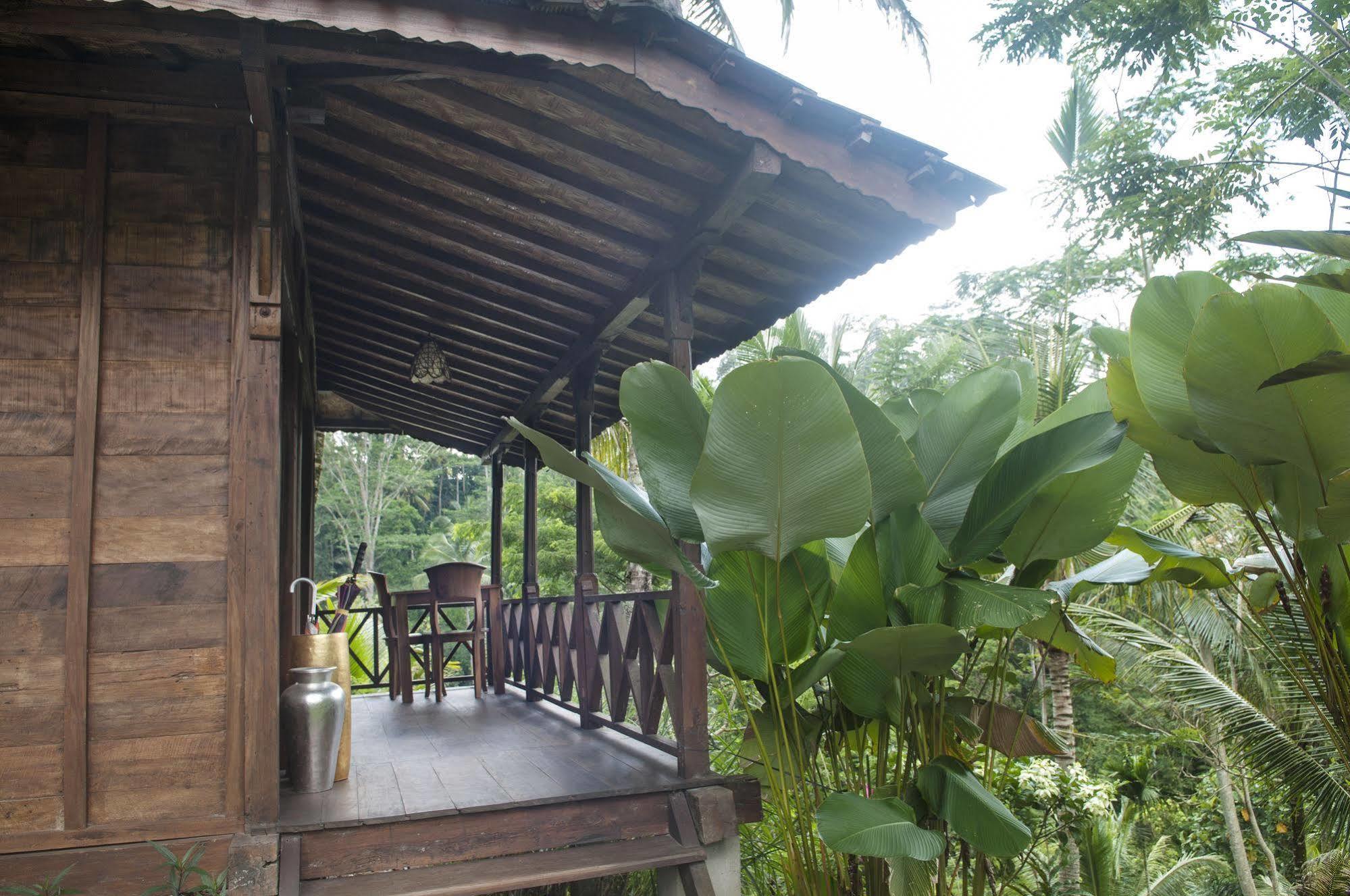 فندق Ubud Jungle Holy Water المظهر الخارجي الصورة