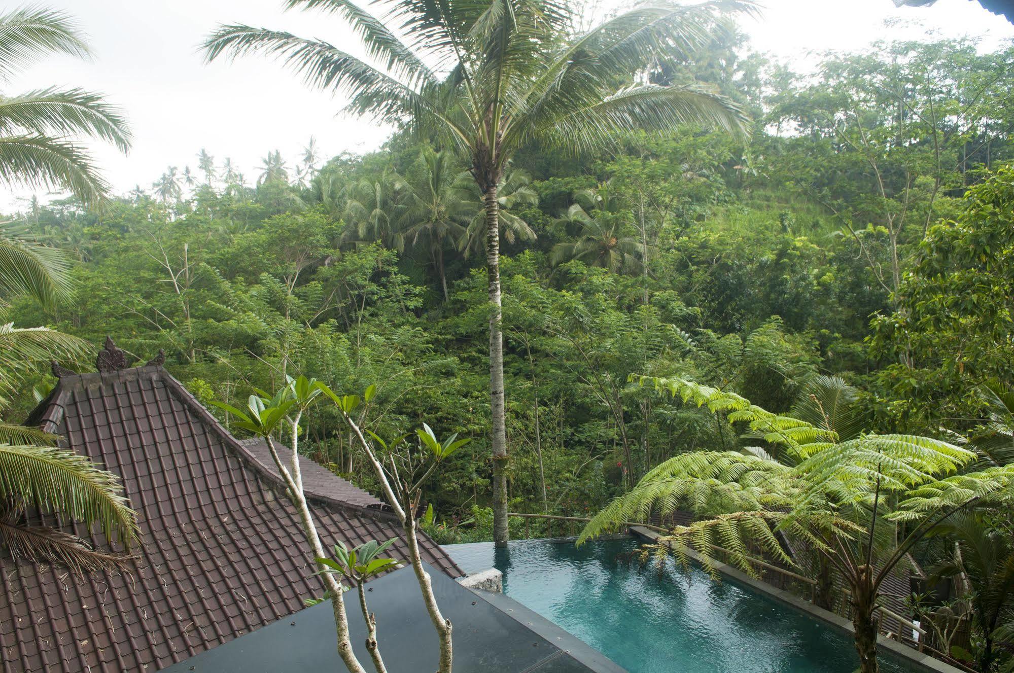 فندق Ubud Jungle Holy Water المظهر الخارجي الصورة